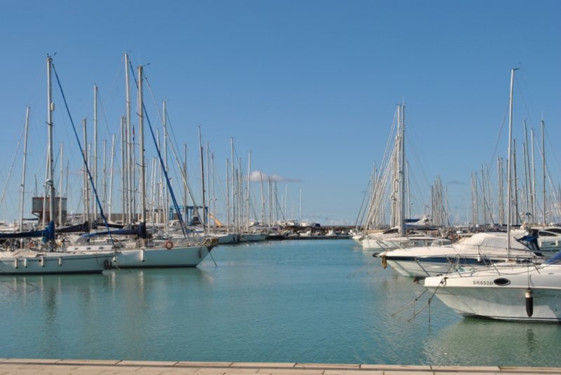 dsc_0198.jpg