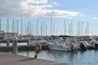 dsc_03361_small.jpg