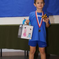 Gmina Cedry Wielkie