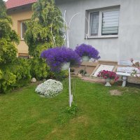 Gmina Cedry Wielkie