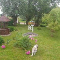 Gmina Cedry Wielkie