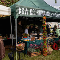 Gmina Cedry Wielkie