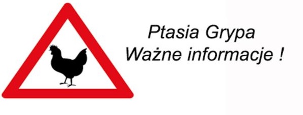 Ptasia grypa