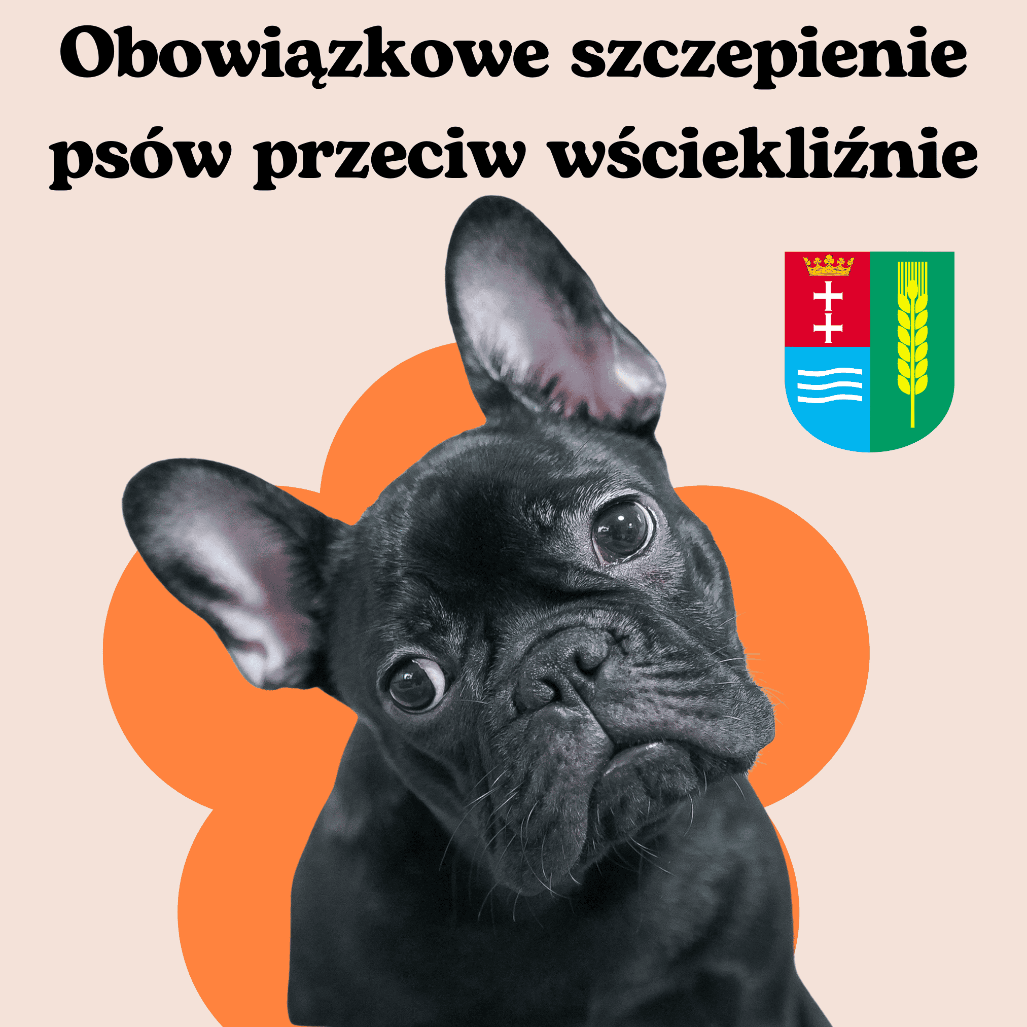 „Bitwa Regionów”
